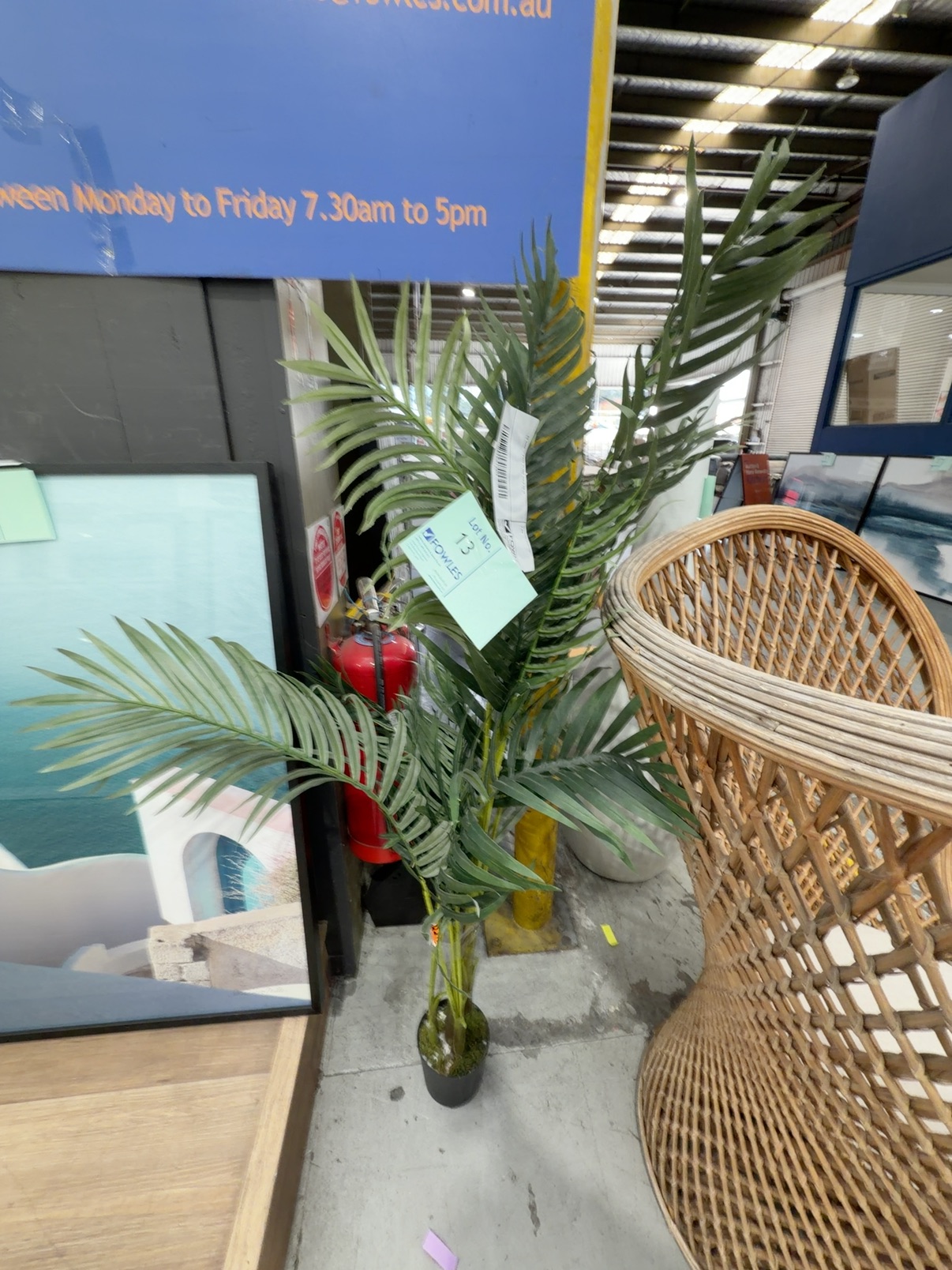 EX HIRE - FAUX PLANT SOLD AS IS EX HIRE - FAUX PLANT SOLD AS IS