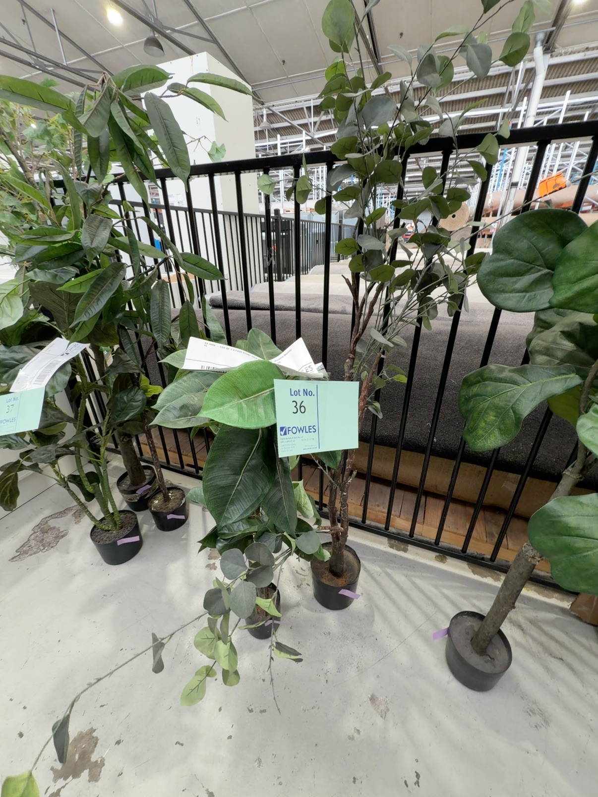 EX HIRE - LOT OF 2 X FAUX PLANT SOLD AS IS EX HIRE - LOT OF 2 X FAUX PLANT SOLD AS IS