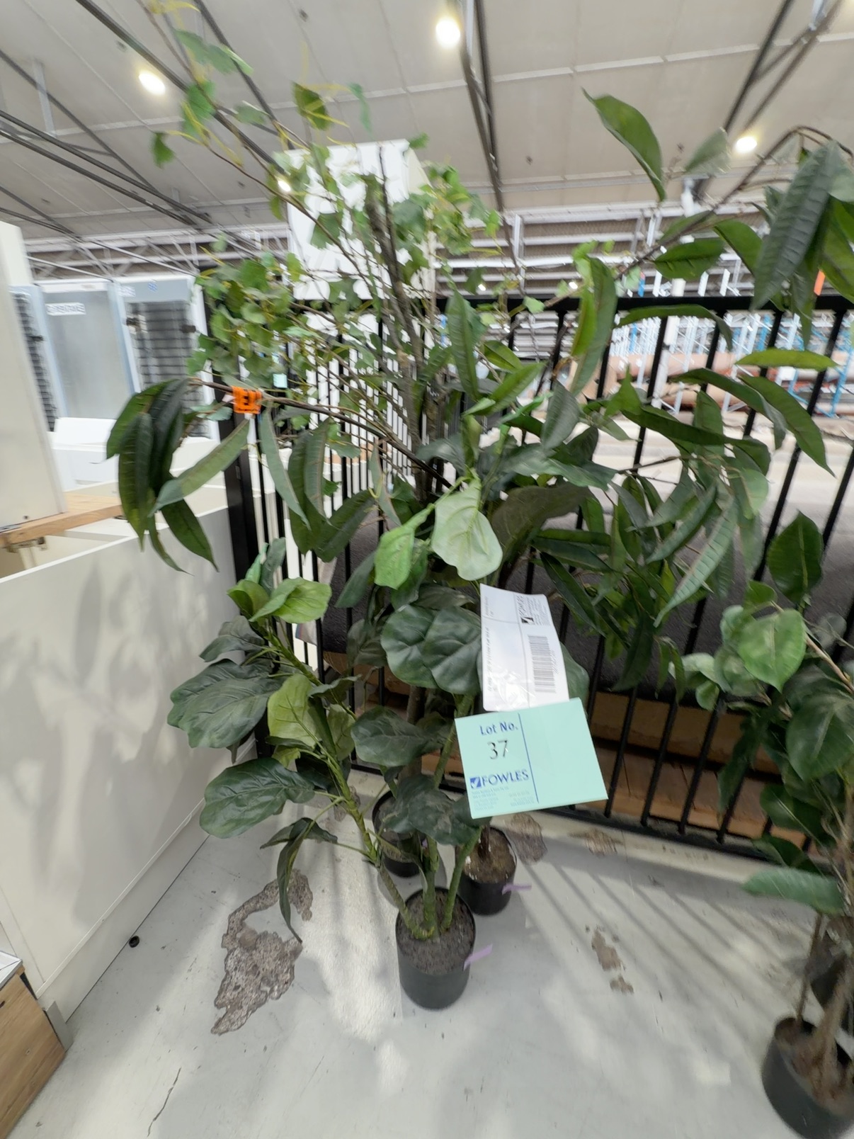 EX HIRE - LOT OF 3 X FAUX PLANT SOLD AS IS EX HIRE - LOT OF 3 X FAUX PLANT SOLD AS IS