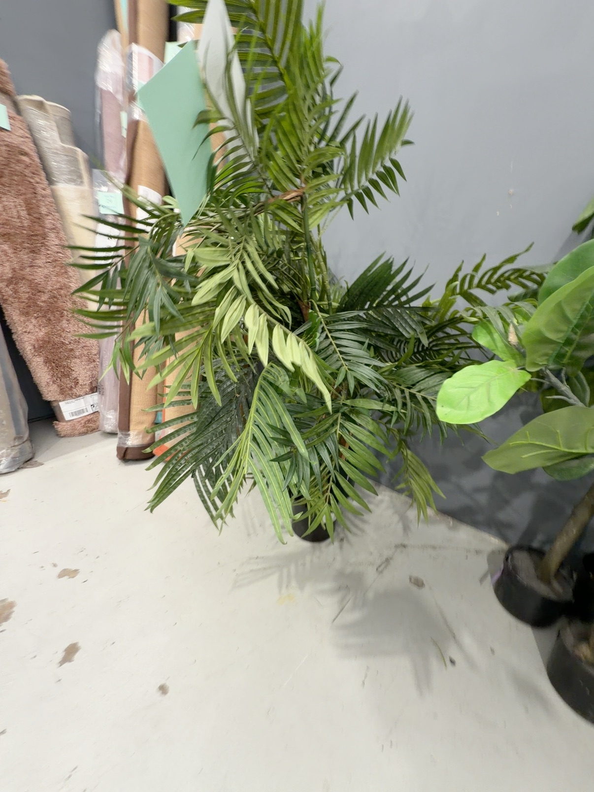 EX HIRE - LOT OF 3 X FAUX PLANT SOLD AS IS EX HIRE - LOT OF 3 X FAUX PLANT SOLD AS IS