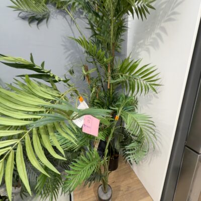 EX STAGING - LOT OF 3 FAUX PLANTS, SOLD AS IS EX STAGING - LOT OF 3 FAUX PLANTS, SOLD AS IS