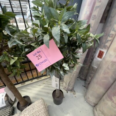 EX STAGING - FAUX PLANT, SOLD AS IS EX STAGING - FAUX PLANT, SOLD AS IS