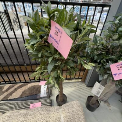 EX STAGING - FAUX PLANT, SOLD AS IS EX STAGING - FAUX PLANT, SOLD AS IS