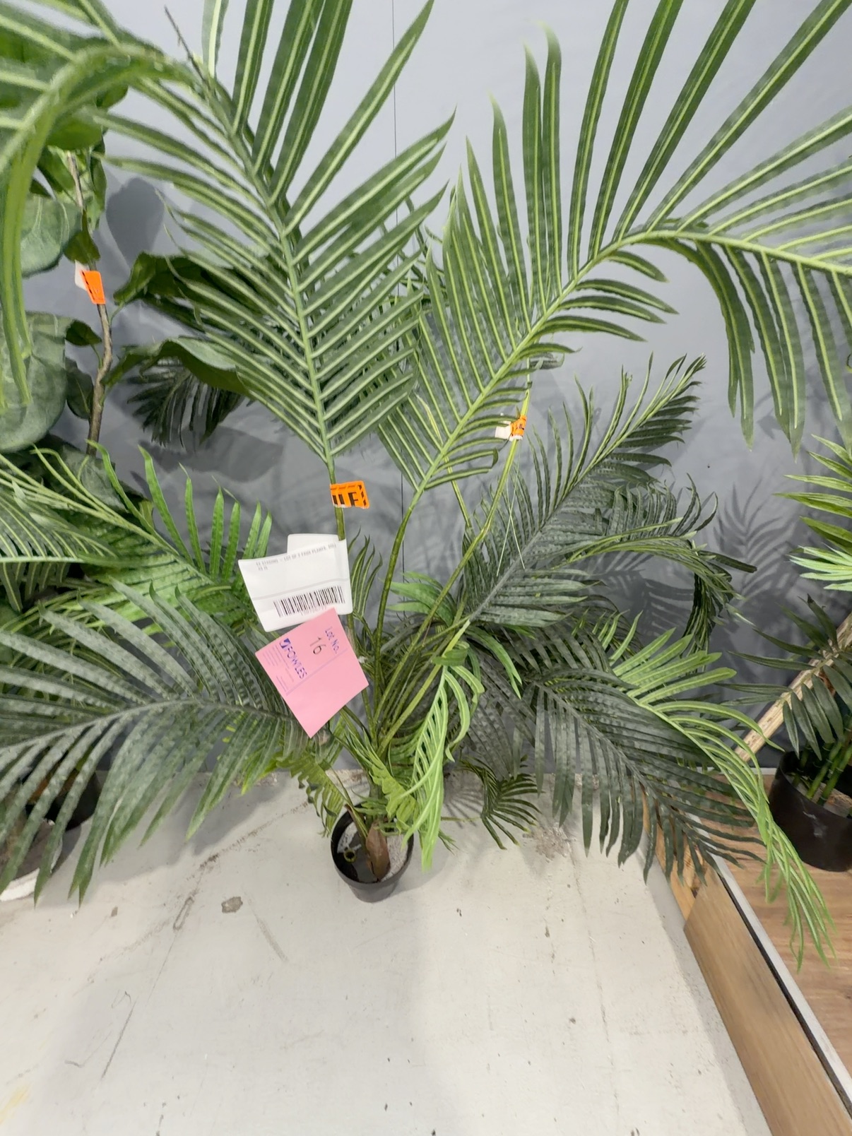 EX STAGING - LOT OF 2 FAUX PLANTS, SOLD AS IS EX STAGING - LOT OF 2 FAUX PLANTS, SOLD AS IS
