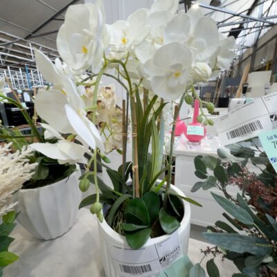 EX STAGING - FAUX ORCHID, SOLD AS IS EX STAGING - FAUX ORCHID, SOLD AS IS