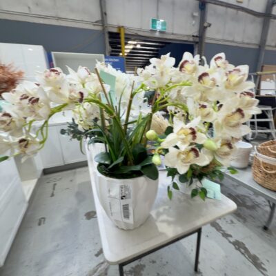EX STAGING - FAUX ORCHID, SOLD AS IS EX STAGING - FAUX ORCHID, SOLD AS IS