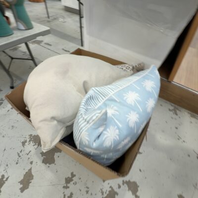 EX STAGING - BOX OF ASSORTED CUSHIONS, SOLD AS IS EX STAGING - BOX OF ASSORTED CUSHIONS, SOLD AS IS