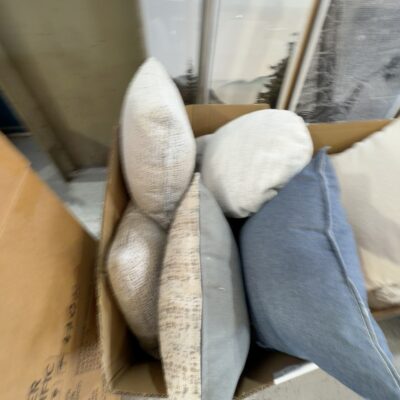 EX STAGING - BOX OF ASSORTED CUSHIONS, SOLD AS IS EX STAGING - BOX OF ASSORTED CUSHIONS, SOLD AS IS