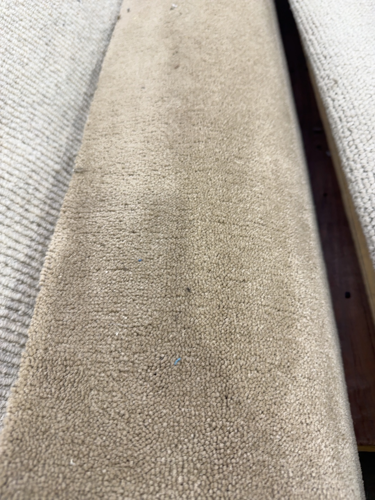 Hamilton Carpet Casablanca 2nds Hamilton Carpet Casablanca 2nds