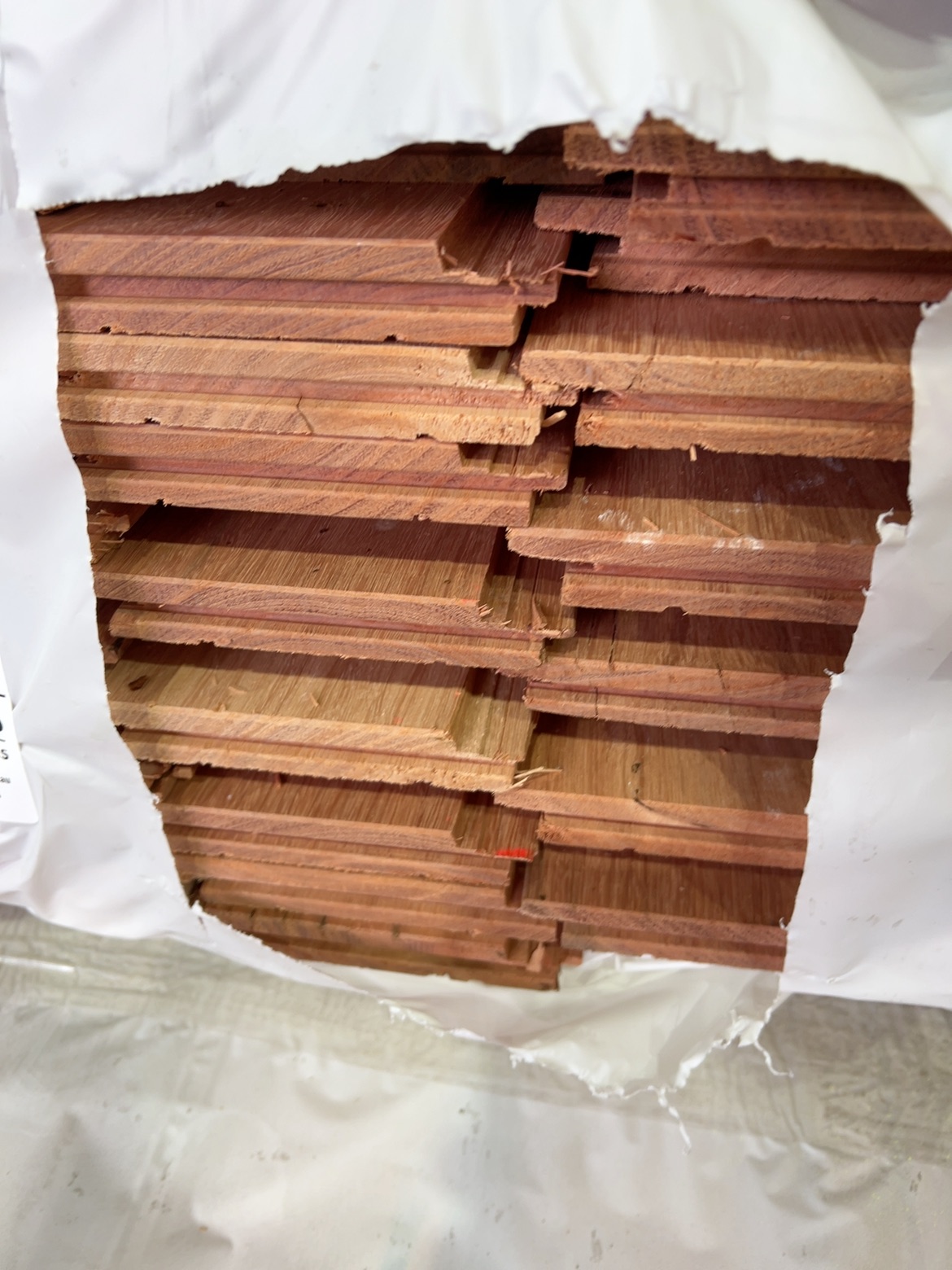 118X21 BLUE GUM COVER GRADE SHIPLAP CLADDING 118X21 BLUE GUM COVER GRADE SHIPLAP CLADDING