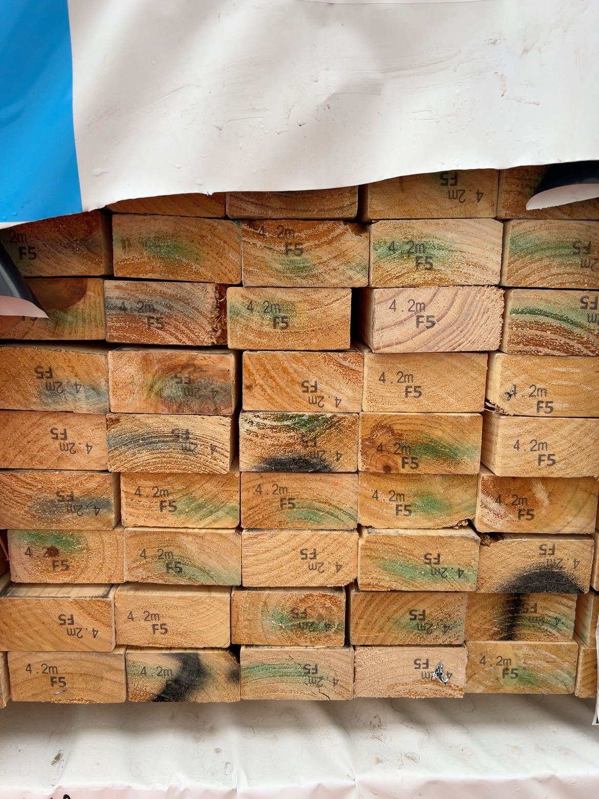 90X45 F5 PINE 112/4.2 90X45 F5 PINE 112/4.2