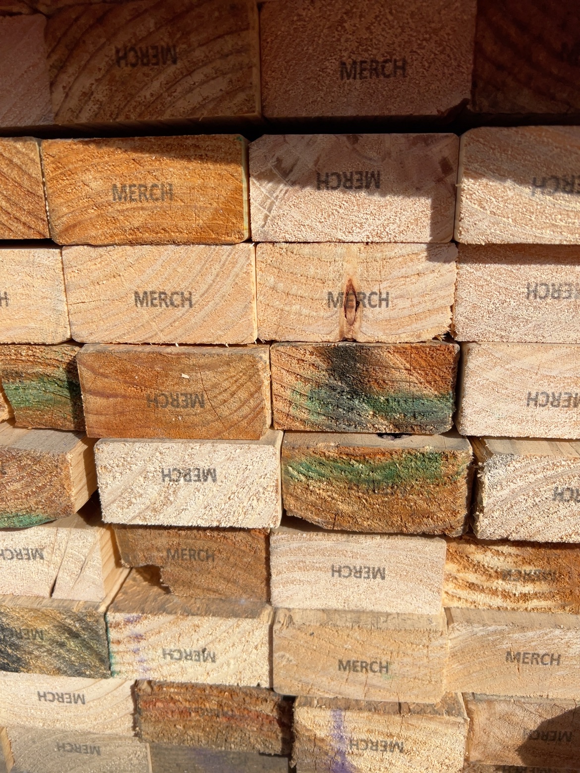 70X35 MERCH PINE-80/3.0 (THIS PACK IS AGED STOCK AND SOLD AS IS) 70X35 MERCH PINE-80/3.0 (THIS PACK IS AGED STOCK AND SOLD AS IS)