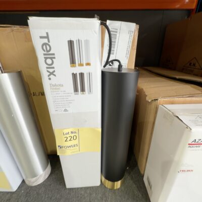 NEW (BOX OF 6QTY) DAKOTA PENDANT LIGHT, BLACK/BRASS DAKOTA PE BK/BM RRP$130 EACH NEW (BOX OF 6QTY) DAKOTA PENDANT LIGHT, BLACK/BRASS DAKOTA PE BK/BM RRP$130 EACH