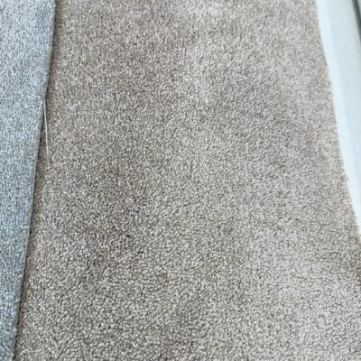 BEAPSFTS - Pelorus Sound Fawn Tone 2nds