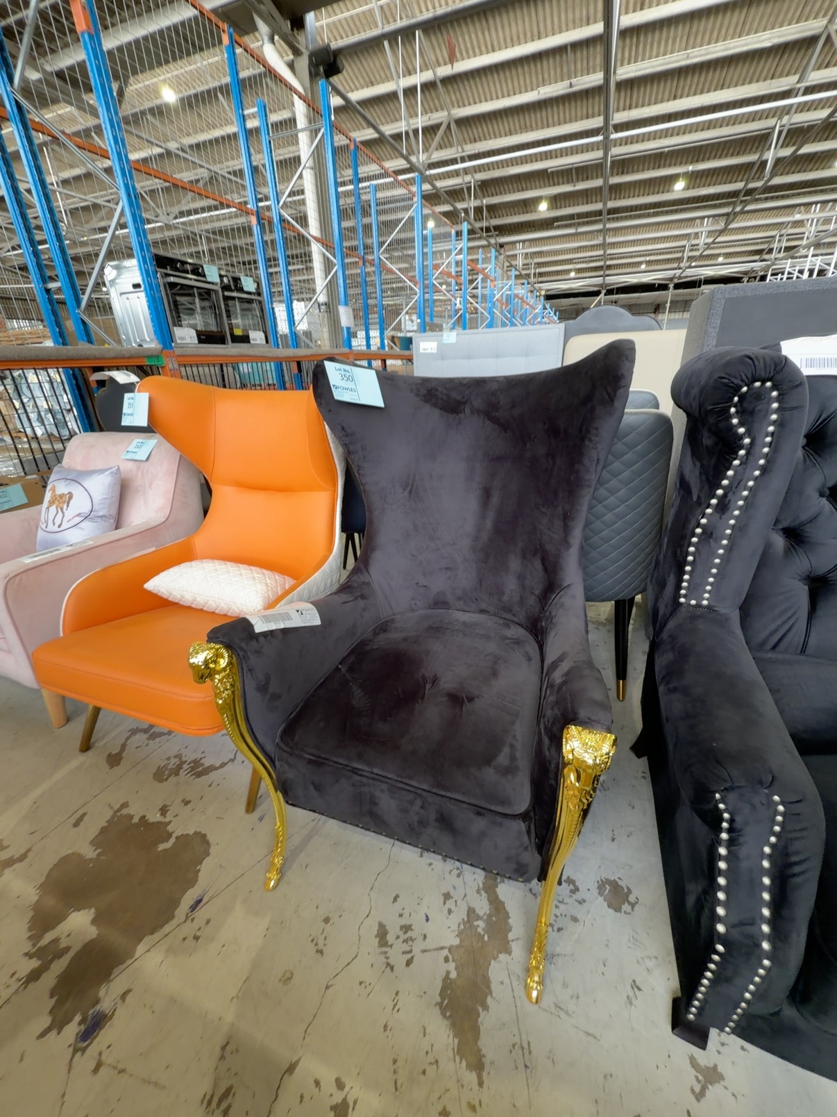 EX SHOWROOM SAMPLE - BLACK VELVET MODERN WINGBACK WITH GOLD RAMS HEAD DETAIL EX SHOWROOM SAMPLE - BLACK VELVET MODERN WINGBACK WITH GOLD RAMS HEAD DETAIL