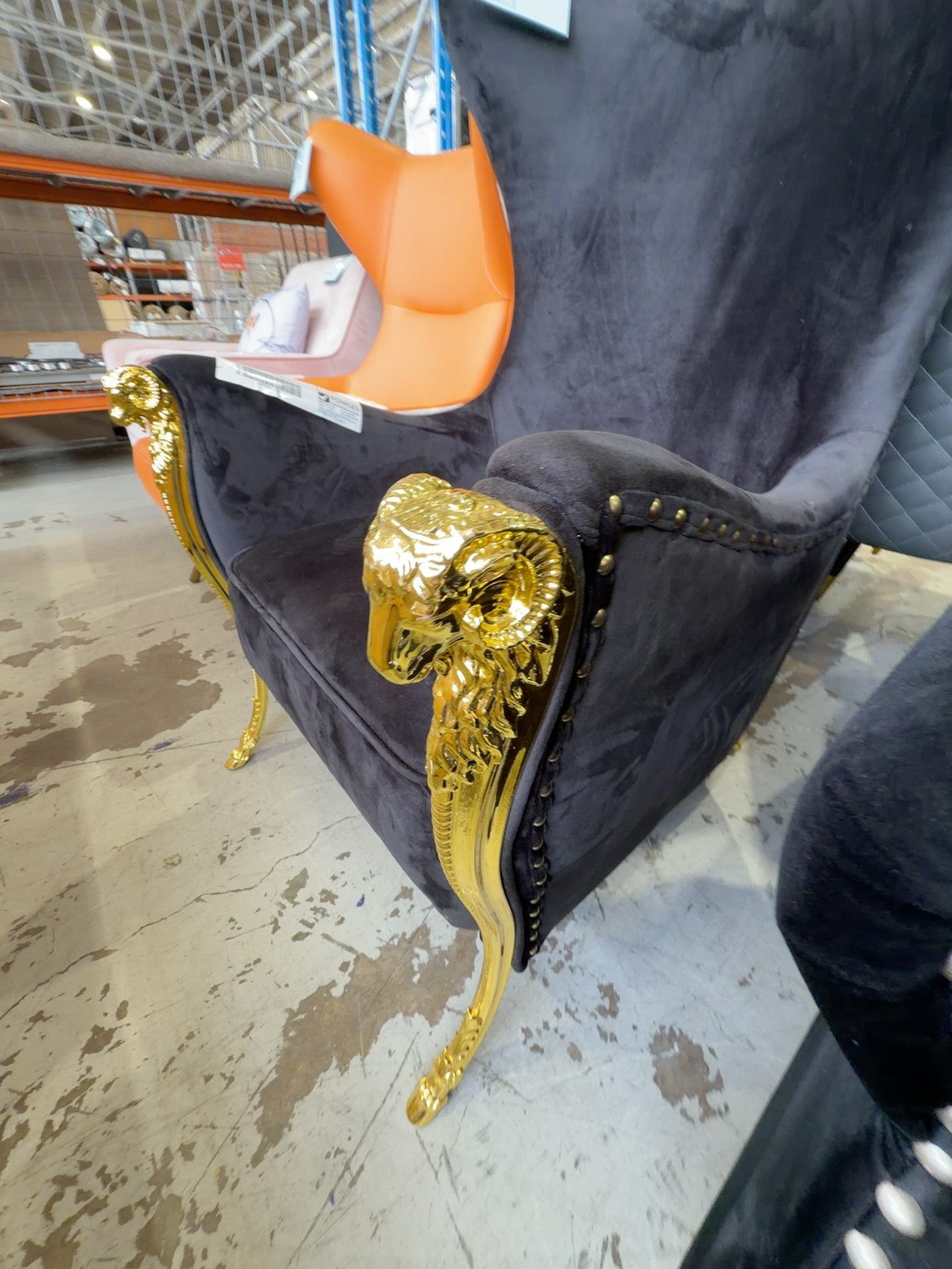 EX SHOWROOM SAMPLE - BLACK VELVET MODERN WINGBACK WITH GOLD RAMS HEAD DETAIL EX SHOWROOM SAMPLE - BLACK VELVET MODERN WINGBACK WITH GOLD RAMS HEAD DETAIL