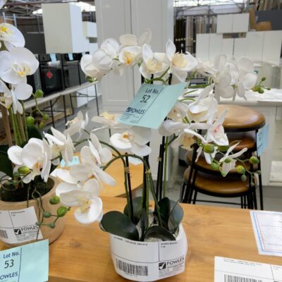 EX STAGING - FAUX ORCHID, SOLD AS IS EX STAGING - FAUX ORCHID, SOLD AS IS