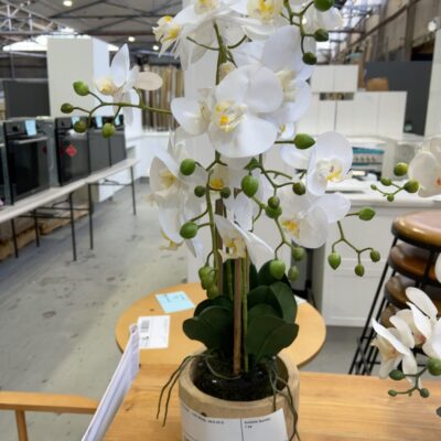 EX STAGING - FAUX ORCHID, SOLD AS IS