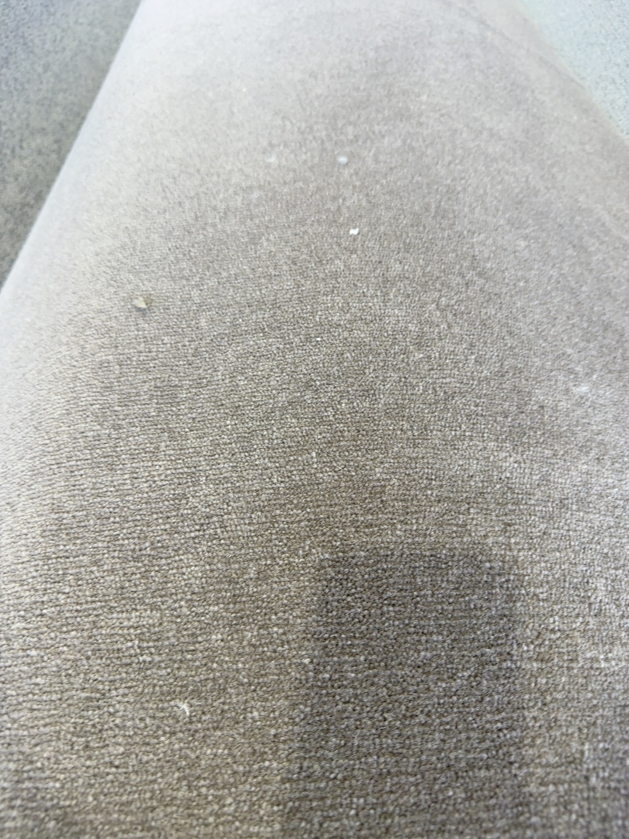 Urban Plush Poseidon 490 Wool Blend 3.66m Wide Urban Plush Poseidon 490 Wool Blend 3.66m Wide