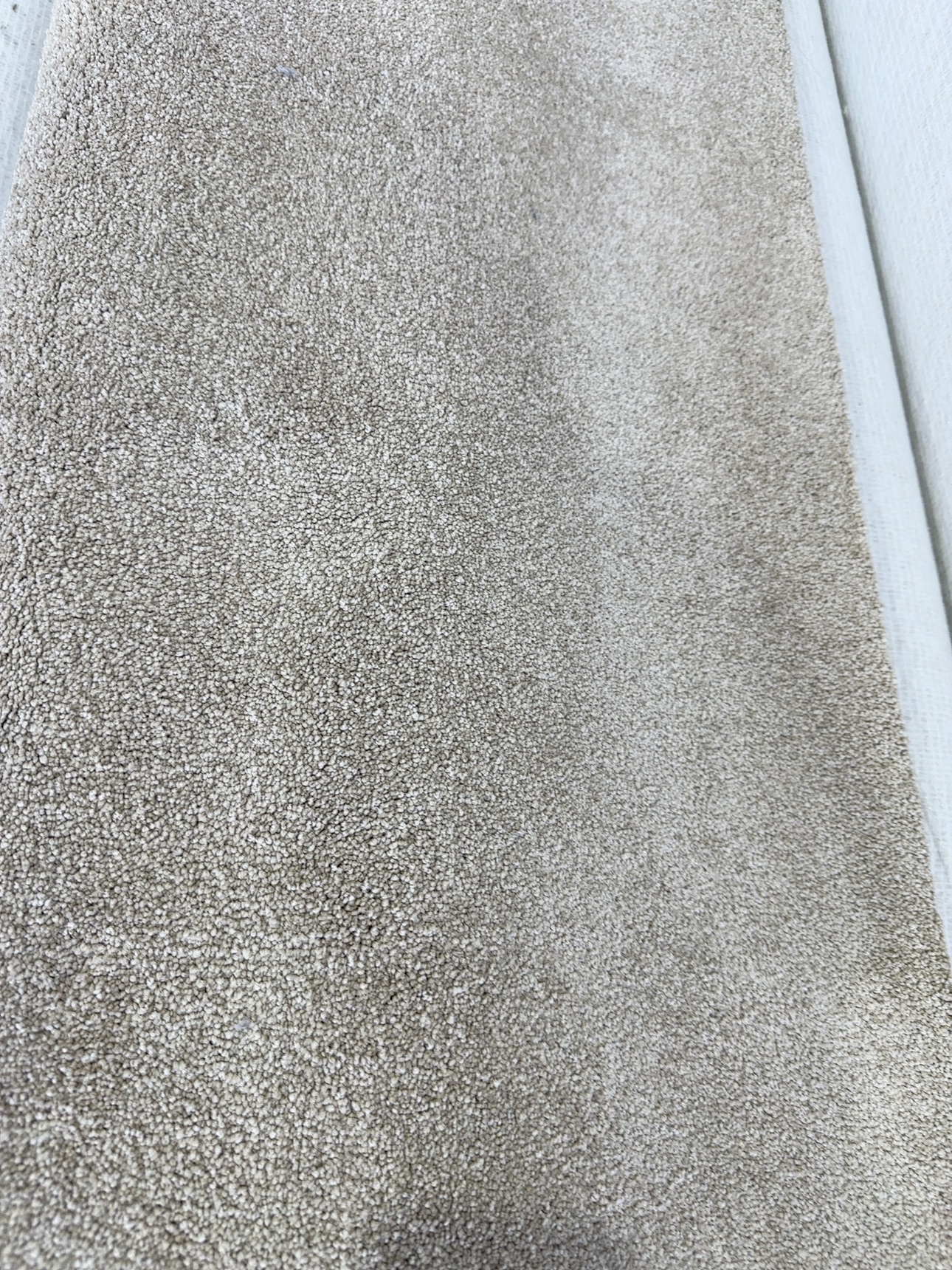 BEAPSESS - Pelorus Sound Egyptian Sand 2nds BEAPSESS - Pelorus Sound Egyptian Sand 2nds