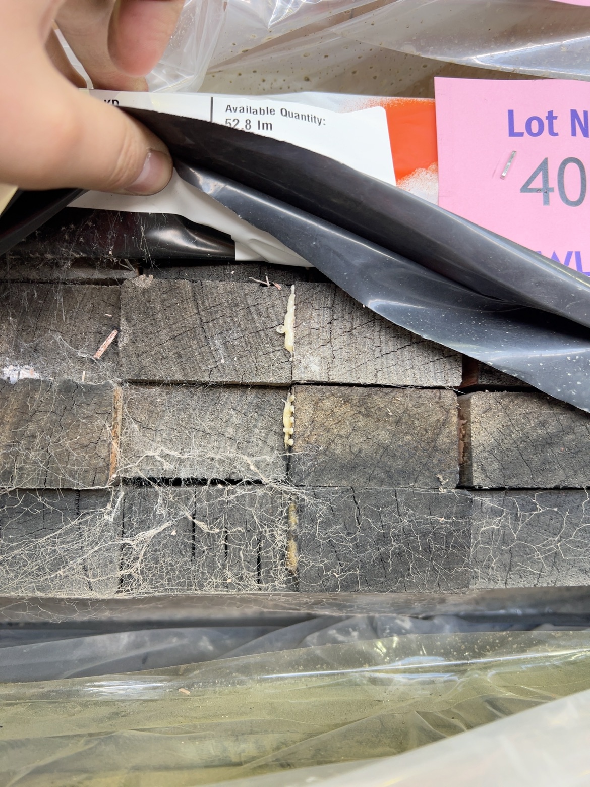 120X35 AUS OAK LAM WEATHERED KD HARDWOOD-22/2.4 120X35 AUS OAK LAM WEATHERED KD HARDWOOD-22/2.4
