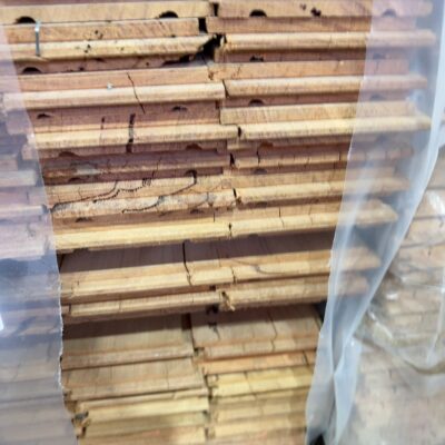 100X19 KD HARDWOOD FLOORING 100X19 KD HARDWOOD FLOORING