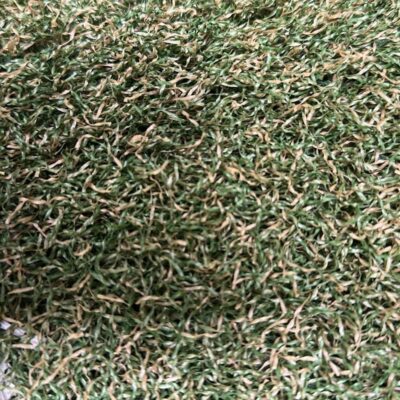 Artificial Grass Urban Calgary 45mm 2nds Artificial Grass Urban Calgary 45mm 2nds