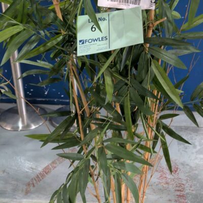 EX STAGING - BAMBOO FAUX PLANT, SOLD AS IS