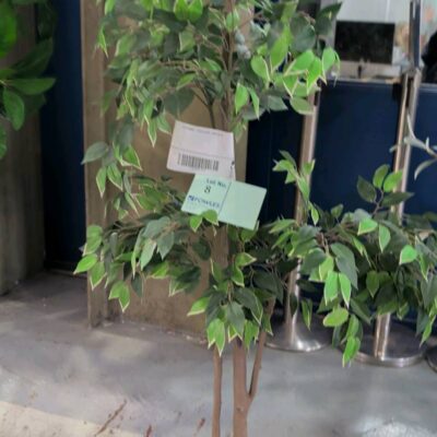 EX STAGING - FAUX PLANT, SOLD AS IS EX STAGING - FAUX PLANT, SOLD AS IS