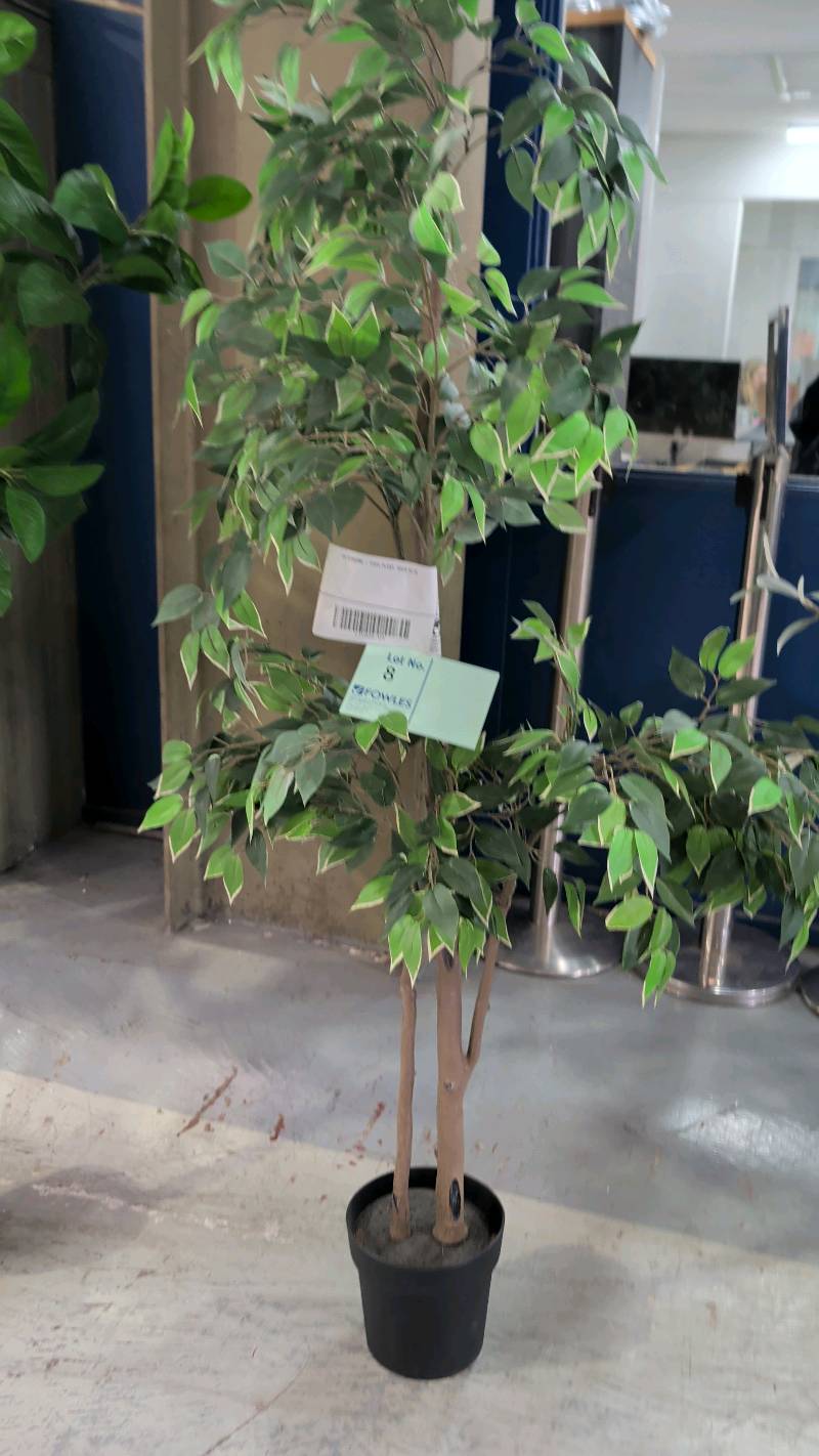 EX STAGING - FAUX PLANT, SOLD AS IS EX STAGING - FAUX PLANT, SOLD AS IS