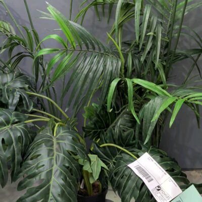 EX STAGING - FAUX PLANT, SOLD AS IS EX STAGING - FAUX PLANT, SOLD AS IS