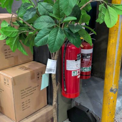 EX STAGING - FAUX PLANT, SOLD AS IS EX STAGING - FAUX PLANT, SOLD AS IS