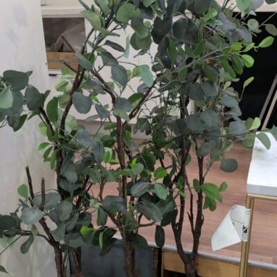 EX STAGING - LOT OF 3 X FAUX PLANT, SOLD AS IS EX STAGING - LOT OF 3 X FAUX PLANT, SOLD AS IS