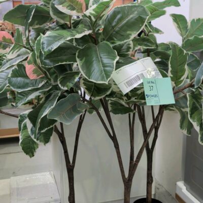EX STAGING - LOT OF 3 X FAUX PLANT, SOLD AS IS EX STAGING - LOT OF 3 X FAUX PLANT, SOLD AS IS