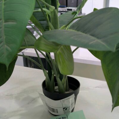 EX STAGING - FAUX PLANT, SOLD AS IS