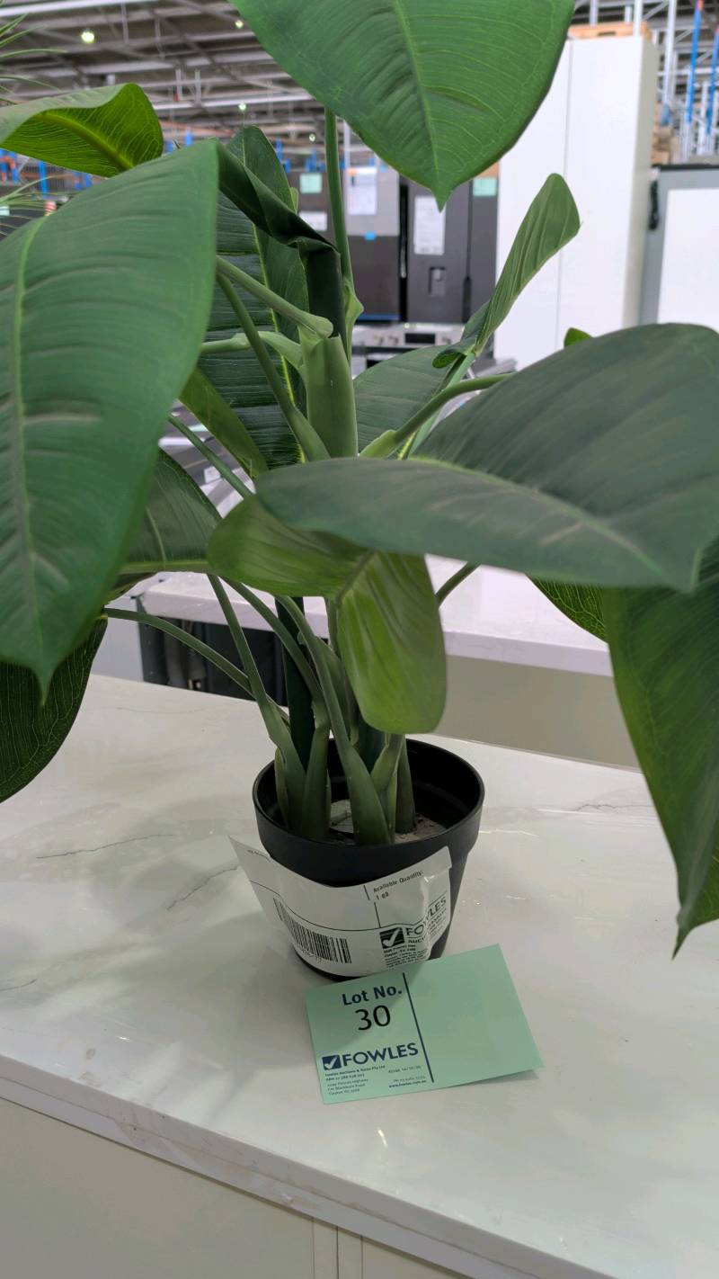 EX STAGING - FAUX PLANT, SOLD AS IS EX STAGING - FAUX PLANT, SOLD AS IS
