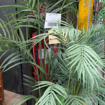EX STAGING - LOT OF 2 FAUX PLANTS, SOLD AS IS EX STAGING - LOT OF 2 FAUX PLANTS, SOLD AS IS