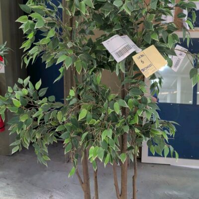 EX STAGING - LOT OF 2 FAUX PLANTS, SOLD AS IS EX STAGING - LOT OF 2 FAUX PLANTS, SOLD AS IS