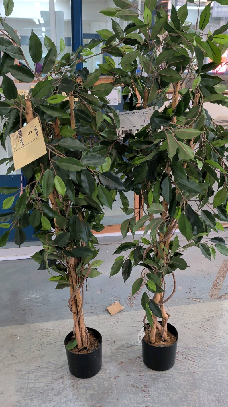 EX STAGING - LOT OF 2 FAUX PLANTS, SOLD AS IS EX STAGING - LOT OF 2 FAUX PLANTS, SOLD AS IS