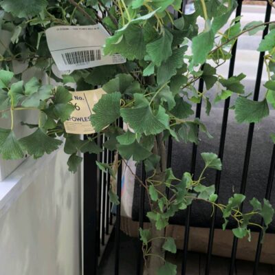 EX STAGING - FAUX PLANTS SOLD AS IS EX STAGING - FAUX PLANTS SOLD AS IS