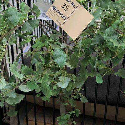 EX STAGING - FAUX PLANTS SOLD AS IS EX STAGING - FAUX PLANTS SOLD AS IS