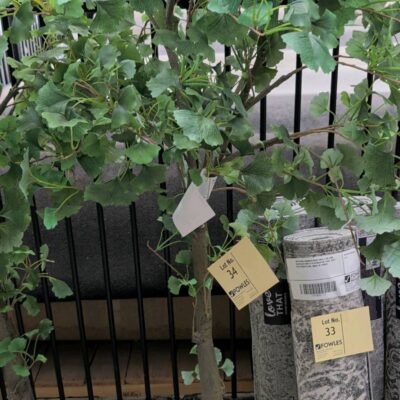 EX STAGING - FAUX PLANTS SOLD AS IS EX STAGING - FAUX PLANTS SOLD AS IS