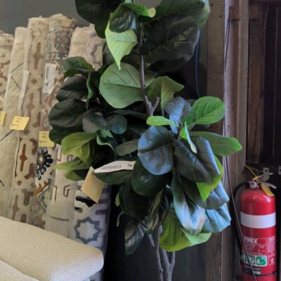 EX STAGING - FAUX PLANTS SOLD AS IS EX STAGING - FAUX PLANTS SOLD AS IS