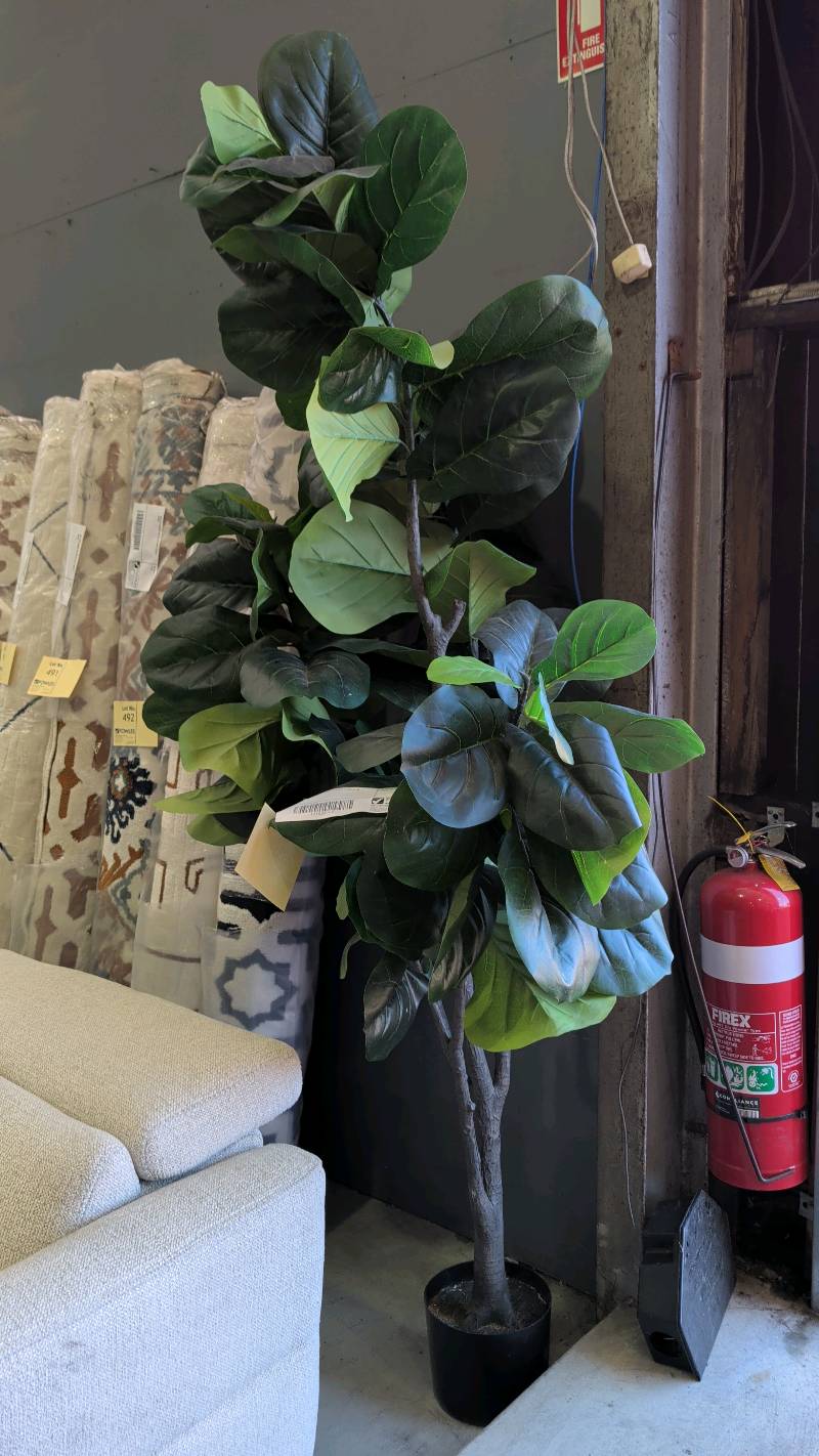 EX STAGING - FAUX PLANTS SOLD AS IS EX STAGING - FAUX PLANTS SOLD AS IS