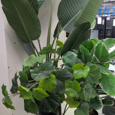EX STAGING - LOT OF 3 FAUX PLANTS SOLD AS IS