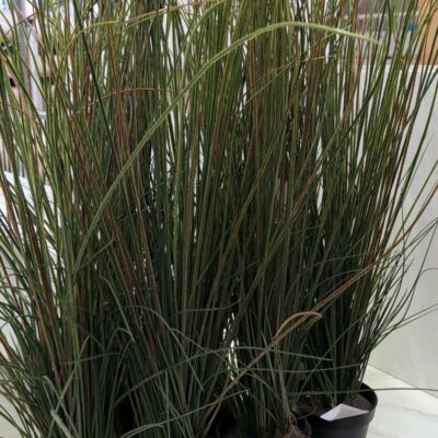 EX STAGING - LOT OF 7 FAUX PLANTS SOLD AS IS
