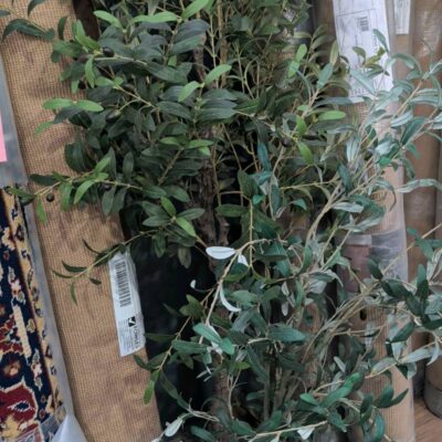 EX STAGING - LOT OF 2 FAUX PLANTS SOLD AS IS