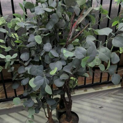 EX STAGING - LOT OF 4 FAUX PLANTS SOLD AS IS