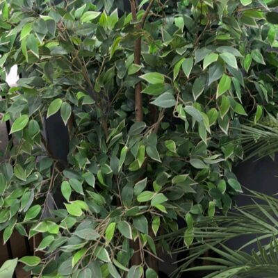 EX STAGING - LOT OF 4 FAUX PLANTS SOLD AS IS