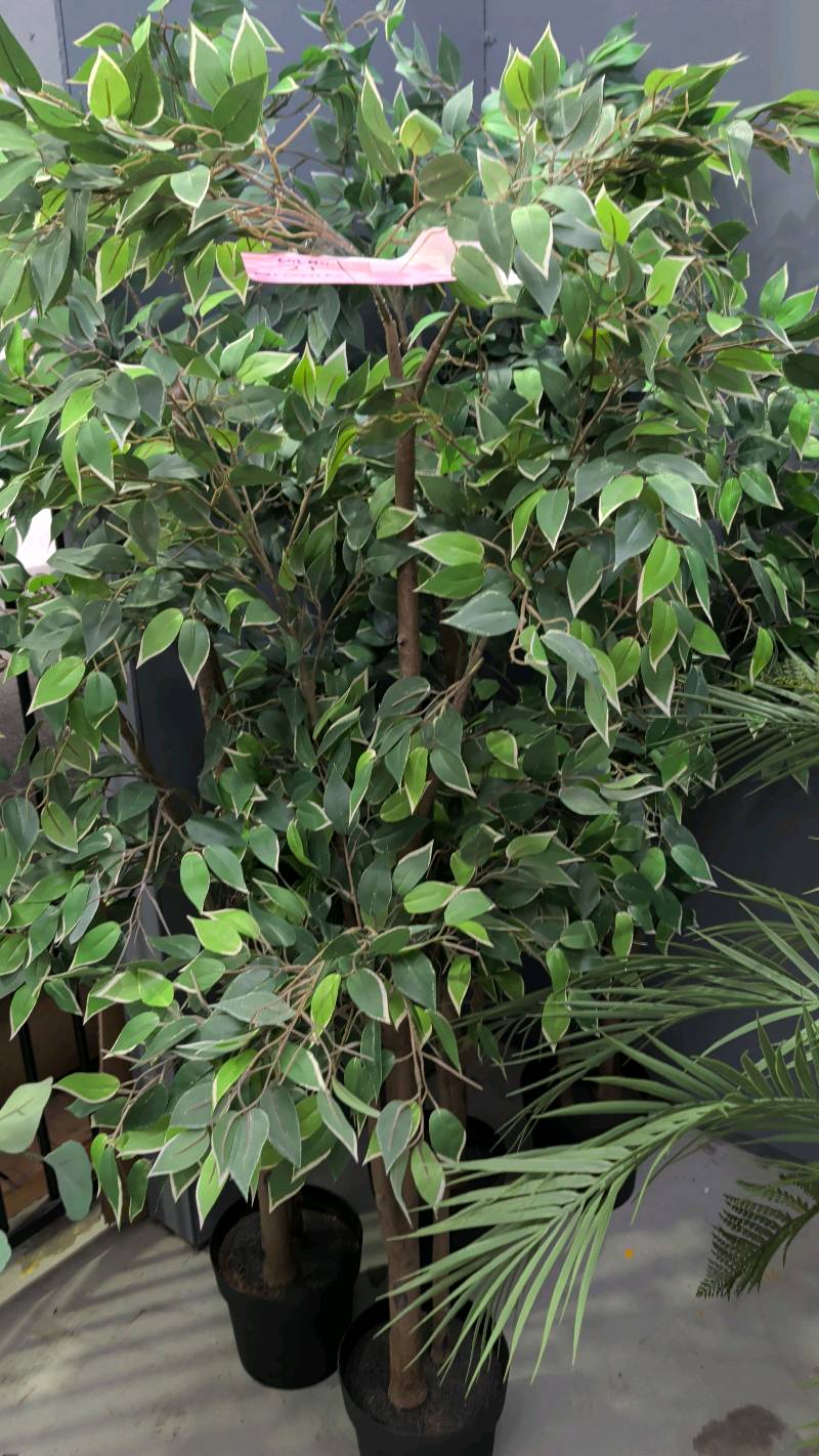 EX STAGING - LOT OF 4 FAUX PLANTS SOLD AS IS EX STAGING - LOT OF 4 FAUX PLANTS SOLD AS IS